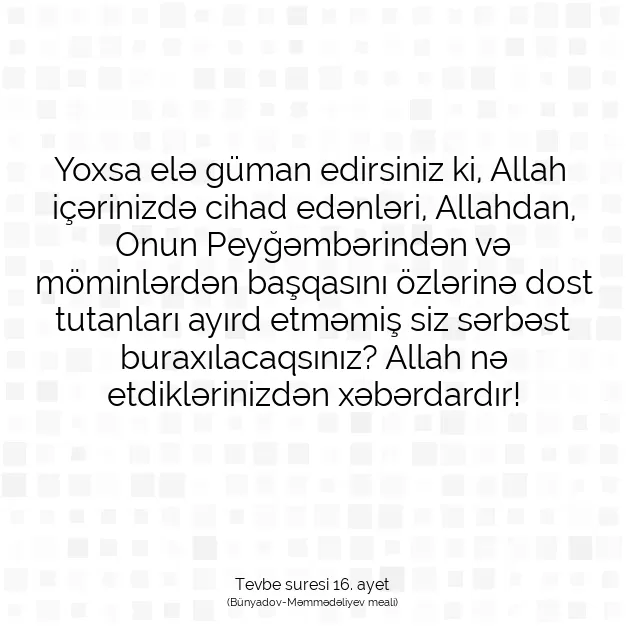 Ayetbul | Kuran Mealleri | Quran | Tevbe suresi 16. ayet