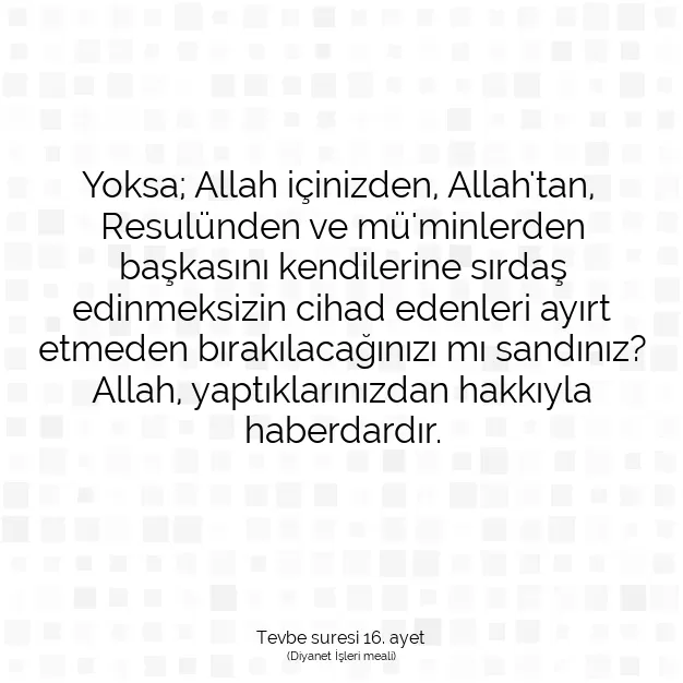 Ayetbul | Kuran Mealleri | Quran | Tevbe suresi 16. ayet