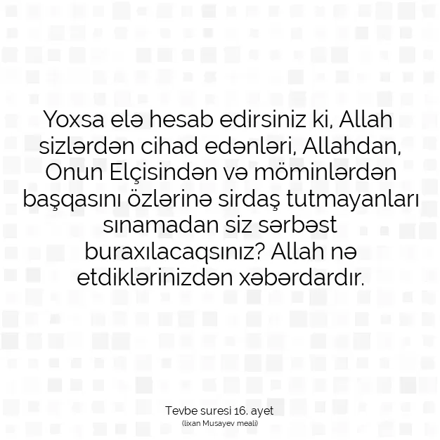 Ayetbul | Kuran Mealleri | Quran | Tevbe suresi 16. ayet