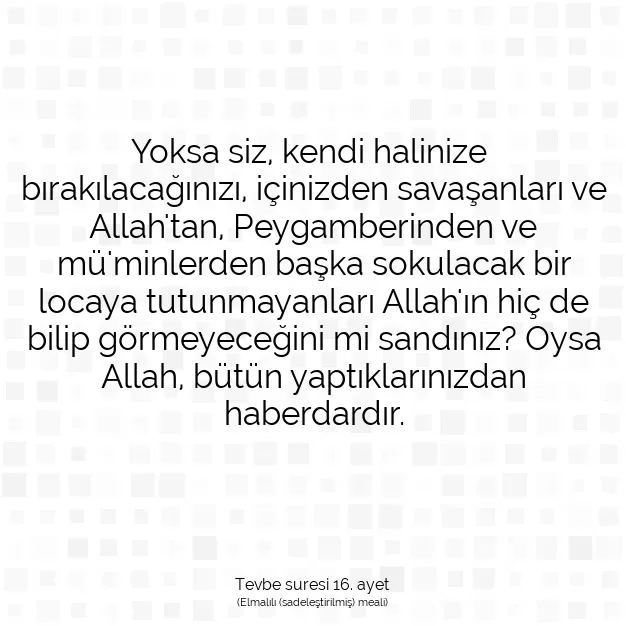 Ayetbul | Kuran Mealleri | Quran | Tevbe suresi 16. ayet