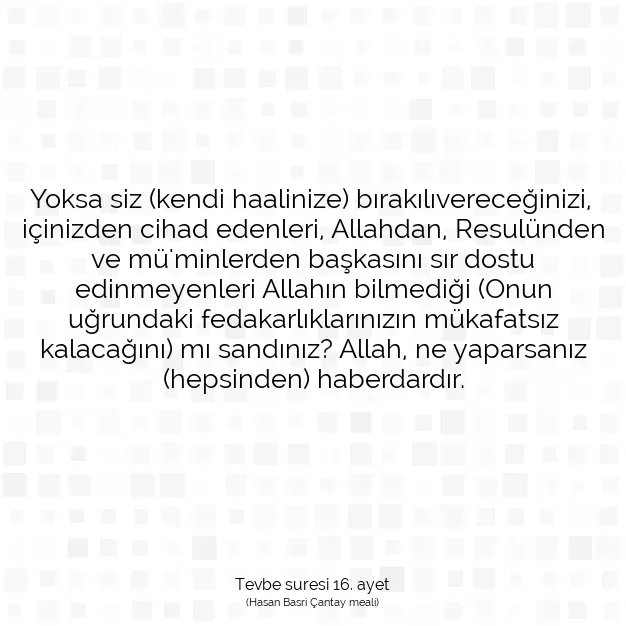 Ayetbul | Kuran Mealleri | Quran | Tevbe suresi 16. ayet