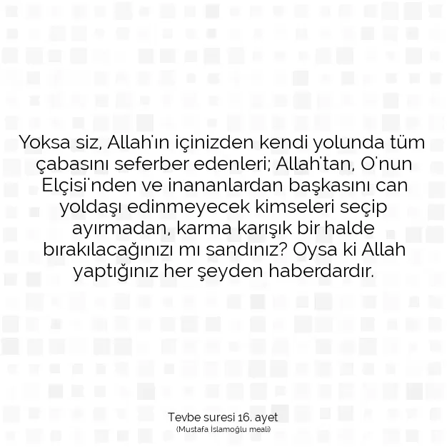 Ayetbul | Kuran Mealleri | Quran | Tevbe suresi 16. ayet