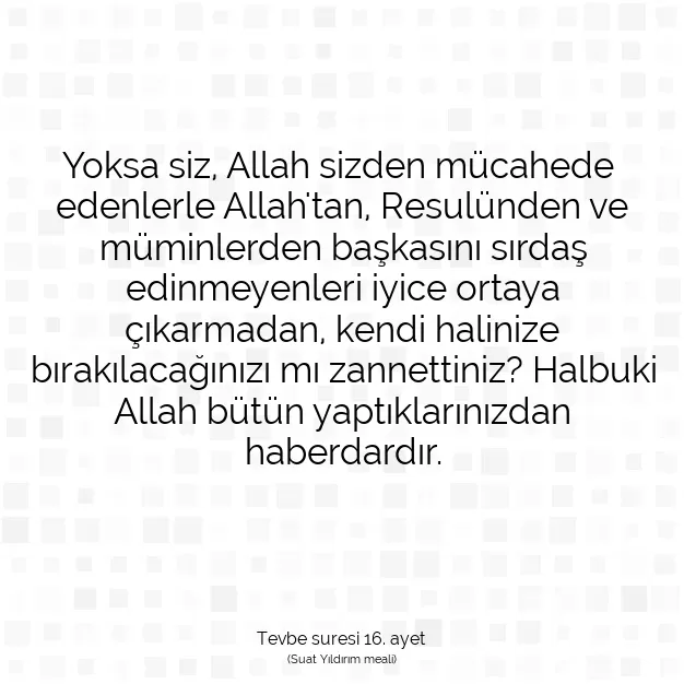 Ayetbul | Kuran Mealleri | Quran | Tevbe suresi 16. ayet