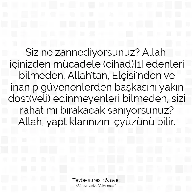 Ayetbul | Kuran Mealleri | Quran | Tevbe suresi 16. ayet