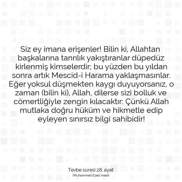 Ayetbul | Kuran Mealleri | Quran | Tevbe suresi 28. ayet