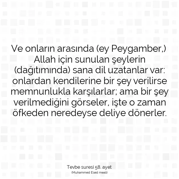 Ayetbul | Kuran Mealleri | Quran | Tevbe suresi 58. ayet