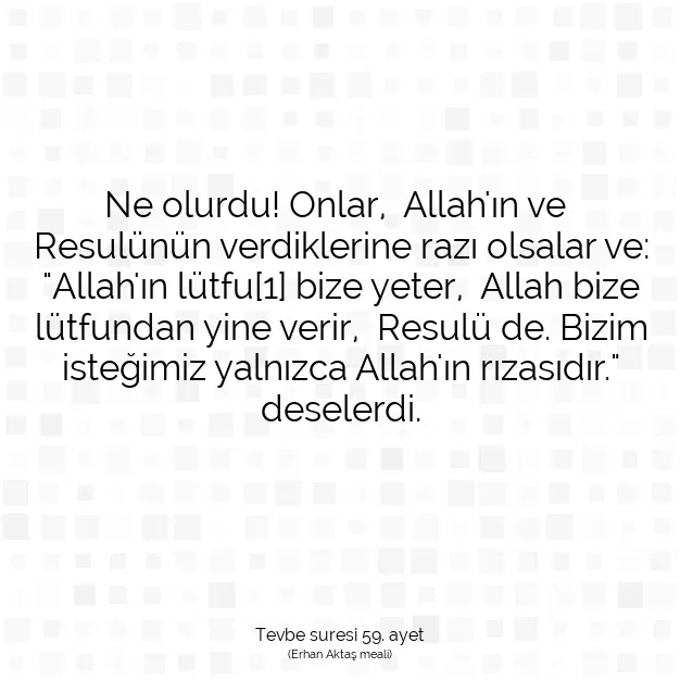 Ayetbul | Kuran Mealleri | Quran | Tevbe suresi 59. ayet