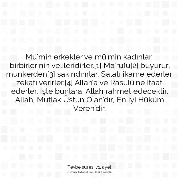 Ayetbul | Kuran Mealleri | Quran | Tevbe suresi 71. ayet