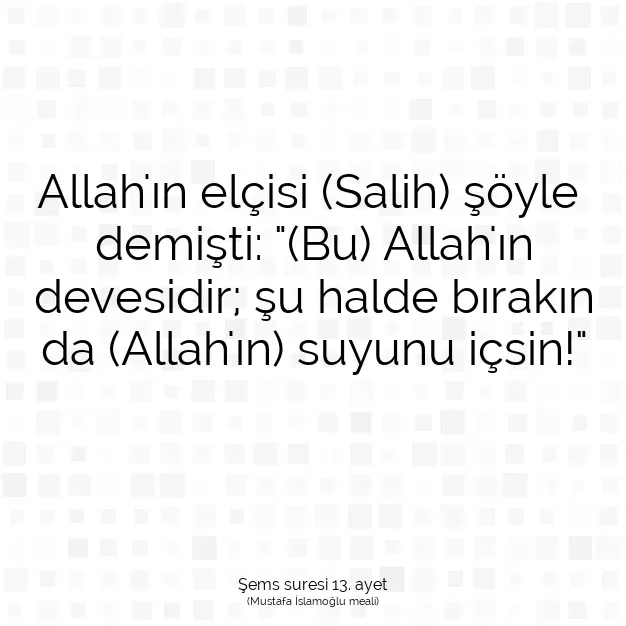 Ayetbul | Kuran Mealleri | Quran | Şems suresi 13. ayet