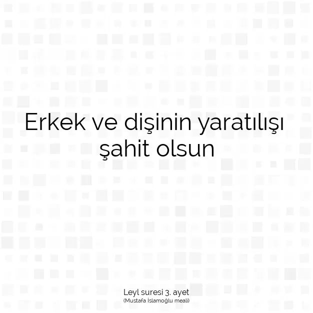 Ayetbul | Kuran Mealleri | Quran | Leyl suresi 3. ayet