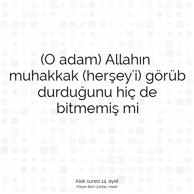 Ayetbul | Kuran Mealleri | Quran | Alak suresi 14. ayet