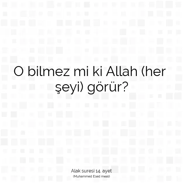 Ayetbul | Kuran Mealleri | Quran | Alak suresi 14. ayet