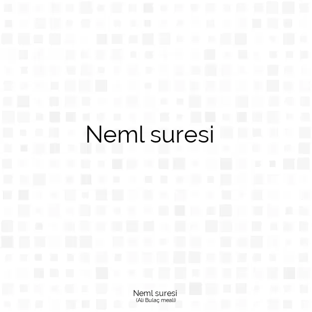 Ayetbul | Kuran Mealleri | Quran | Ali Bulaç meali | Neml suresi 