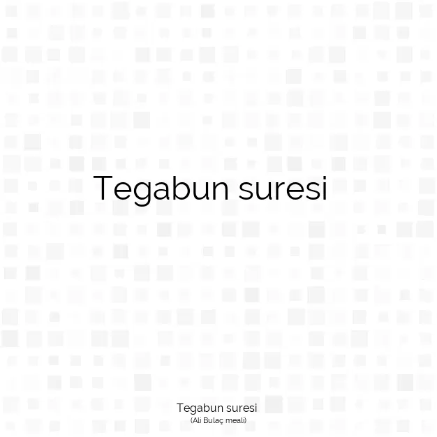 Ayetbul | Kuran Mealleri | Quran | Ali Bulaç meali | Tegabun suresi 